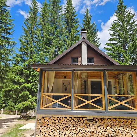 Black Lake Chalet Zabljak  Ngoại thất bức ảnh