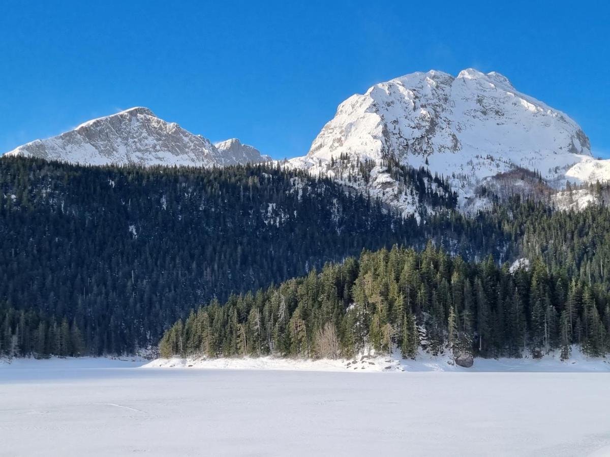 Black Lake Chalet Zabljak  Ngoại thất bức ảnh