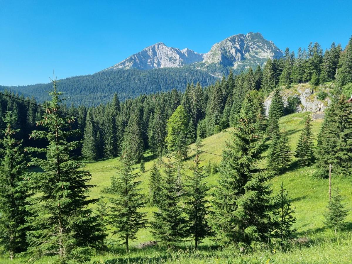 Black Lake Chalet Zabljak  Ngoại thất bức ảnh