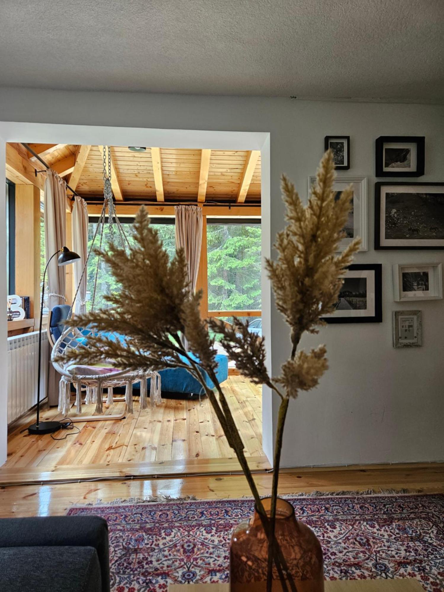 Black Lake Chalet Zabljak  Ngoại thất bức ảnh