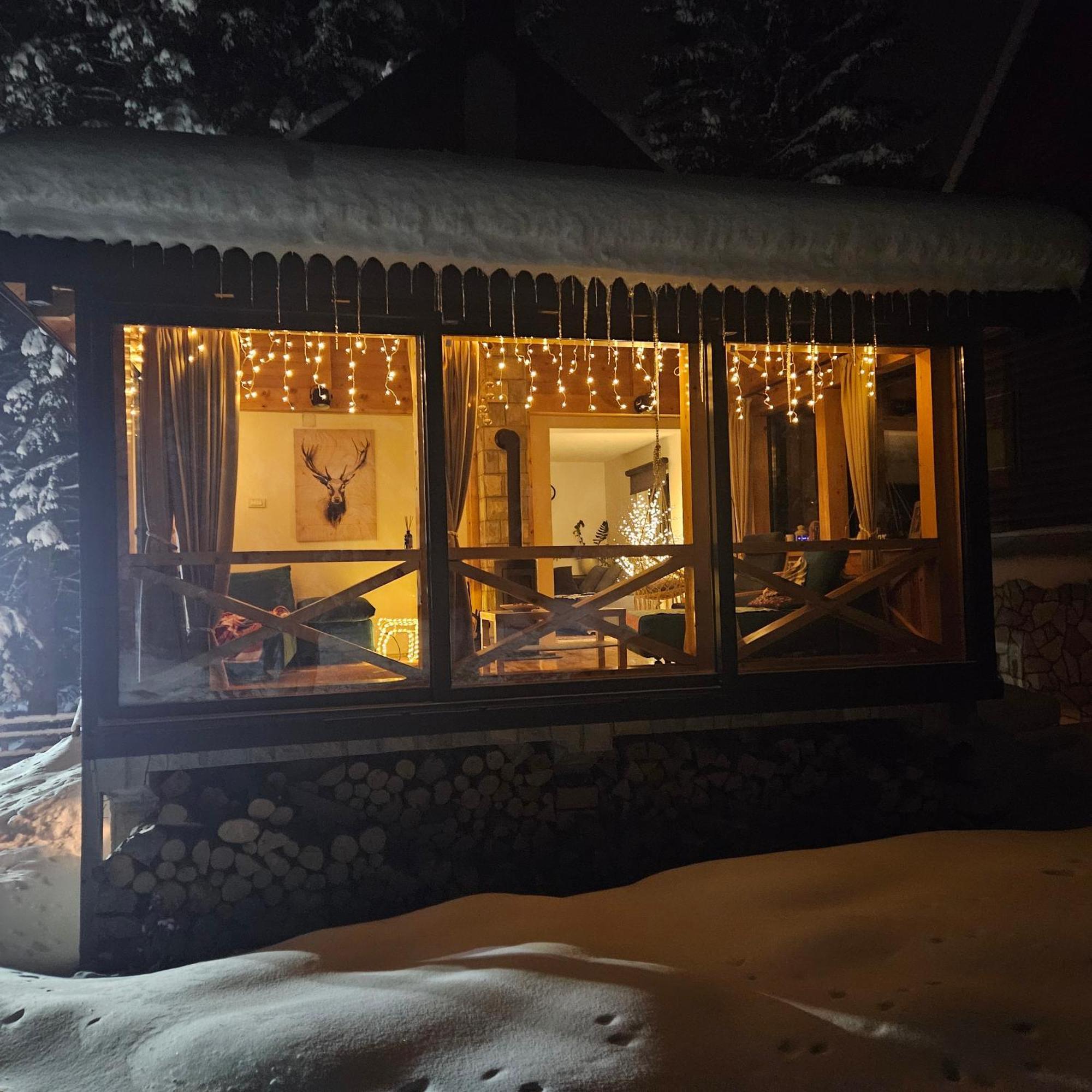 Black Lake Chalet Zabljak  Ngoại thất bức ảnh